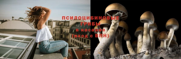 стафф Алексеевка